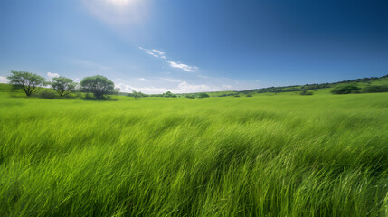 field of green grass stretching out into the distance wit one generative AI