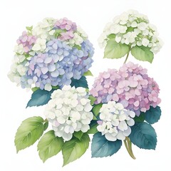 set of flowers
