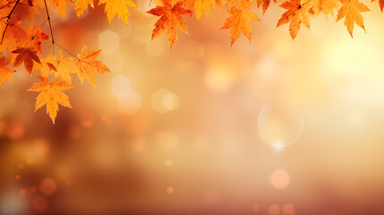 An autumn-themed blurred background adorned with a frame of orange, gold, and red maple leaves against a backdrop of soft, beautiful bokeh created by the sunlight in nature.