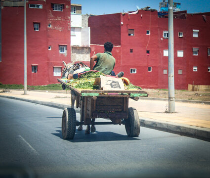 Maroc