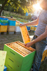 Open hive with bees drew nice straight comb on this foundation-less frame . light comb was used for honey storage. Brace comb is one of the many types of comb, bridge comb, cross comb