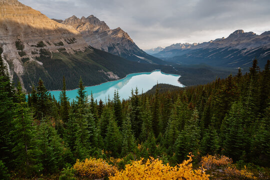 Fall golden sunrise at Peyto Lake, Banff National Park, Canadian Rockies mountains