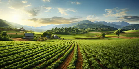 Foto op Aluminium Sprawling agricultural farm with fields of crops, tractors, and machinery involved in food production for a growing population. © Ziyan Yang