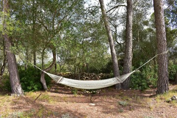 Hamaca colgante en la naturaleza