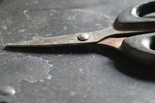 close up photo of rusty scissors