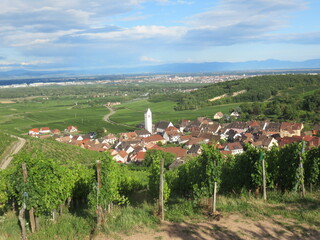 Eglise et village de Katzenthal, Haut-Rhin, Alsace, France, Route des vins, vignoble, 