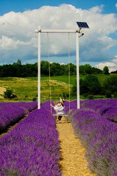 Beautiful free young woman on a swing among bright and fresh lavender on a field. The beauty enjoys her mood and nature.