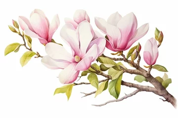 Foto op Canvas Watercolor magnolia artwork on white background for prints and postcards. Generative AI © Bowen