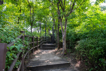Fototapeta na wymiar Wooden path on Eungbongsan mountain in Seoul, South Korea