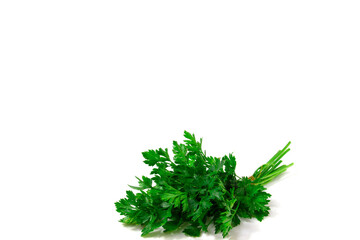 A bunch of fresh parsley on a white background adds a touch of vibrant greenery to any culinary composition