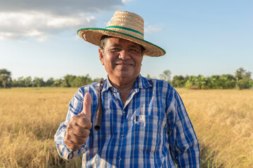 Portrait of elderly Asian farmer wearing a shirt and hat stands in a rice field with thumbs up in...