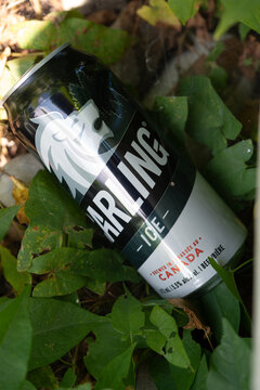 empty can of Carling Ice (Canada) beer close-up