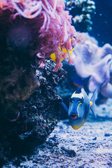 Underwater
