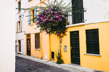Fototapeta na wymiar Vue sur une ruelle fleurie de la ville d'Argeles-sur-mer dans les Pyrénées Orientales, France