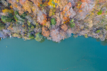 Aerial Fall Colors