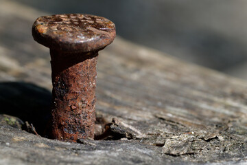 Rusty old nail half in