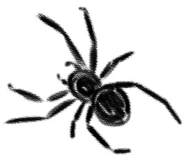Ara√±a de color negro con efecto tiza. Ilustraci√≥n aislada sin fondo. Dibujo de silueta de ara√±a negra. Insecto ar√°cnido. © Estefania_RP
