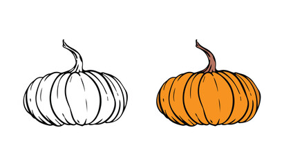 Pumpkin vector for Thanksgiving. pumpkin, Thanksgiving flat color icon vector .