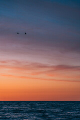 sunset in the sea