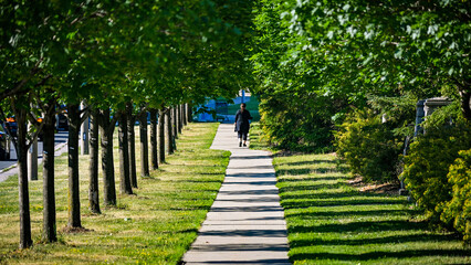 In the morning light, rows of tree shadows are cast on the sidewalk by the roadside, while a middle-aged woman with her back to the camera is taking a walk