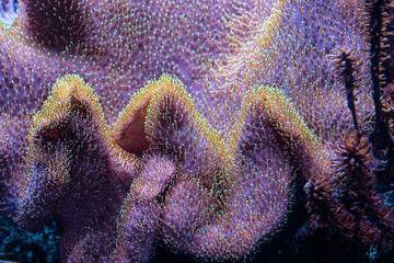 Underwater 