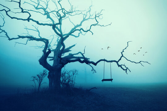 leere Schaukel am kahlen Baum im Nebel