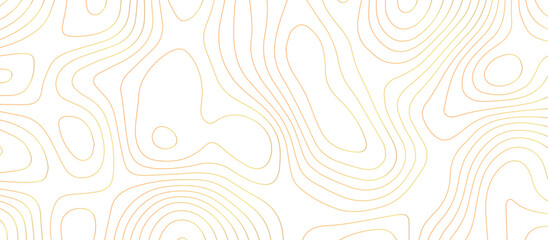 abstract White wave paper curved reliefs background .Panorama view gradient multicolor wave curve lines banner background design. Vector illustration. wave Line topography map contour background.