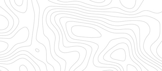 abstract White wave paper curved reliefs background .Panorama view gradient multicolor wave curve lines banner background design. Vector illustration. wave Line topography map contour background.