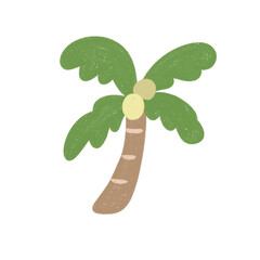 Coconut tree