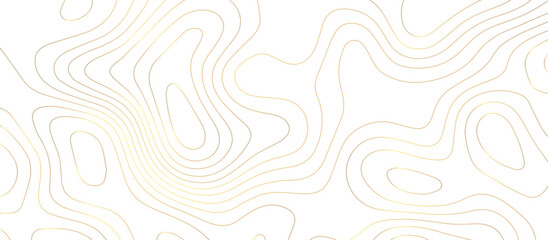 abstract White wave paper curved reliefs background .Panorama view gradient multicolor wave curve lines banner background design. Vector illustration. wave Line topography map contour background.