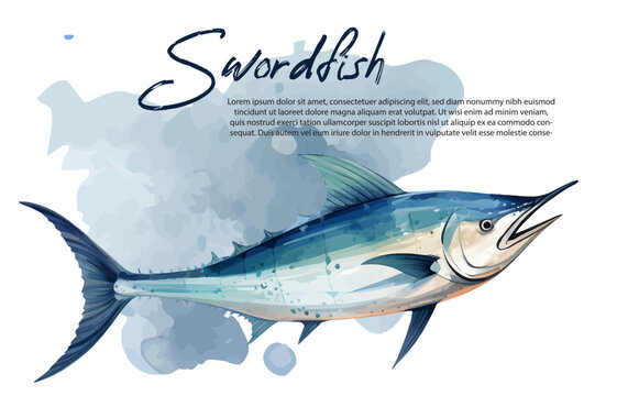 Swordfish watercolor hand paint collection