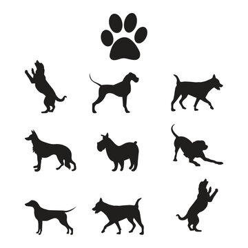 set of dog logo vector