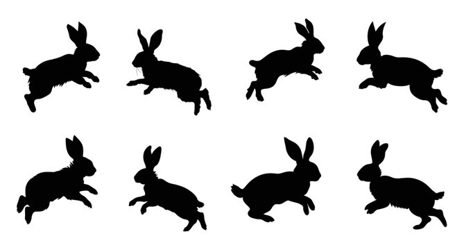 Rabbits silhouette set. Bunny symbols. Hare silhouette. Farm animal icon