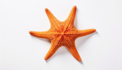 Realistic Starfish - Symbol of Marine Life on White Background - Generative AI