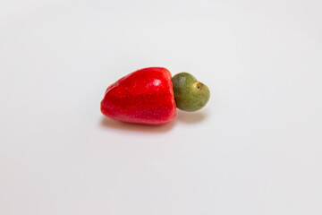 The cerrado cajuzinho (Anacardium humile), also known as cajuzinho-do-campo or cajuí, . Brazilian wild fruit