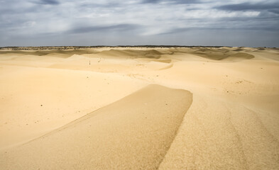 Sand dunes in the Senek desert in the Kazakh desert, sand texture in the desert