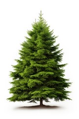 Christmas tree isolated on white background. Xmas fir pine tree