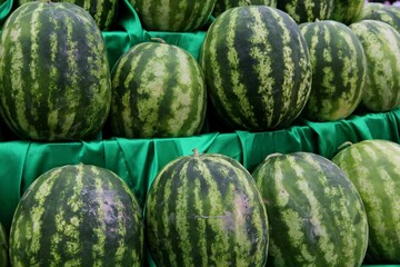 Watermelons lie on shelves covered with green cloth