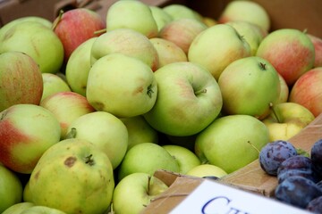 A lot of green apples lie in cardboard box