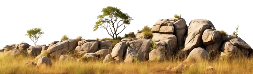 Zelfklevend Fotobehang Savanna with faded grass and rocks, cut out © Yeti Studio