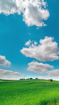 timelapse with white clouds on a blue sky landscape of a green summer field