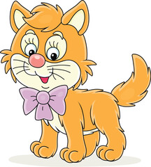 Little kitten with a bow, vector cartoon illustration isolated on a white background
