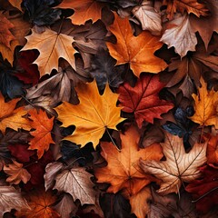 Naklejka na ściany i meble Autumn Leaves: Nature's Colorful Tapestry