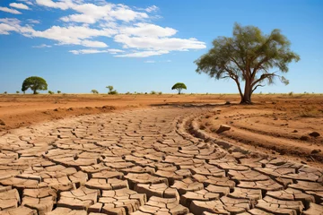 Deurstickers Dry river bed among parched terrain. Effects of climate change, desertification and droughts © colnihko