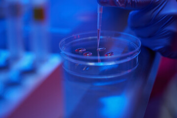 Man in protective gloves works with biomaterial in Petri dish