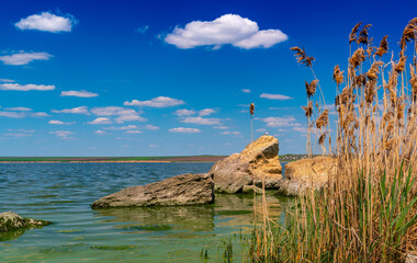 Natural landscape, shell stones in the water near the shore of the Khadzhibey estuary