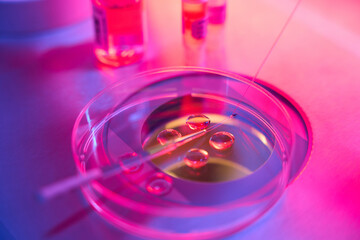 Biotechnological embryo biopsy procedure in a modern laboratory