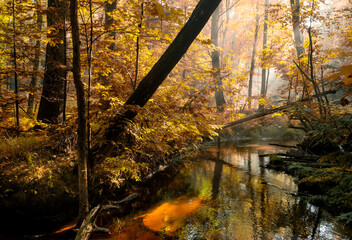 Dark autumn forest with a river and rays of light through tree branches. an atmosphere of...