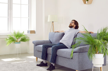 Man is relaxing on the couch at home. Bearded man in polo shirt, jeans and glasses is enjoying a...