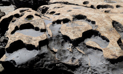 Abstract rocks carved by the ocean tides